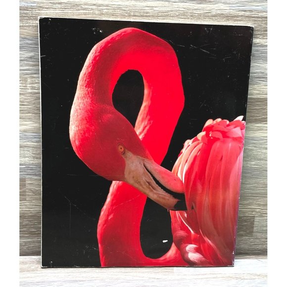 Vintage The San Diego Zoo Souvenir Book 1988 Animal Photographs - Picture 5 of 9